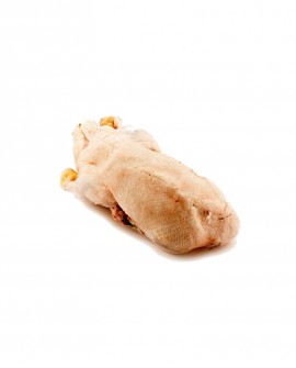 Oca busto - 4,0kg sottovuoto - carne fresca pregiata, Quack Italia