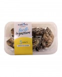 Ostriche Concave Francia - fresco vivo sottovuoto - 4x vaschetta 500g - scadenza 8 giorni - Pescheria Marevivo Castro